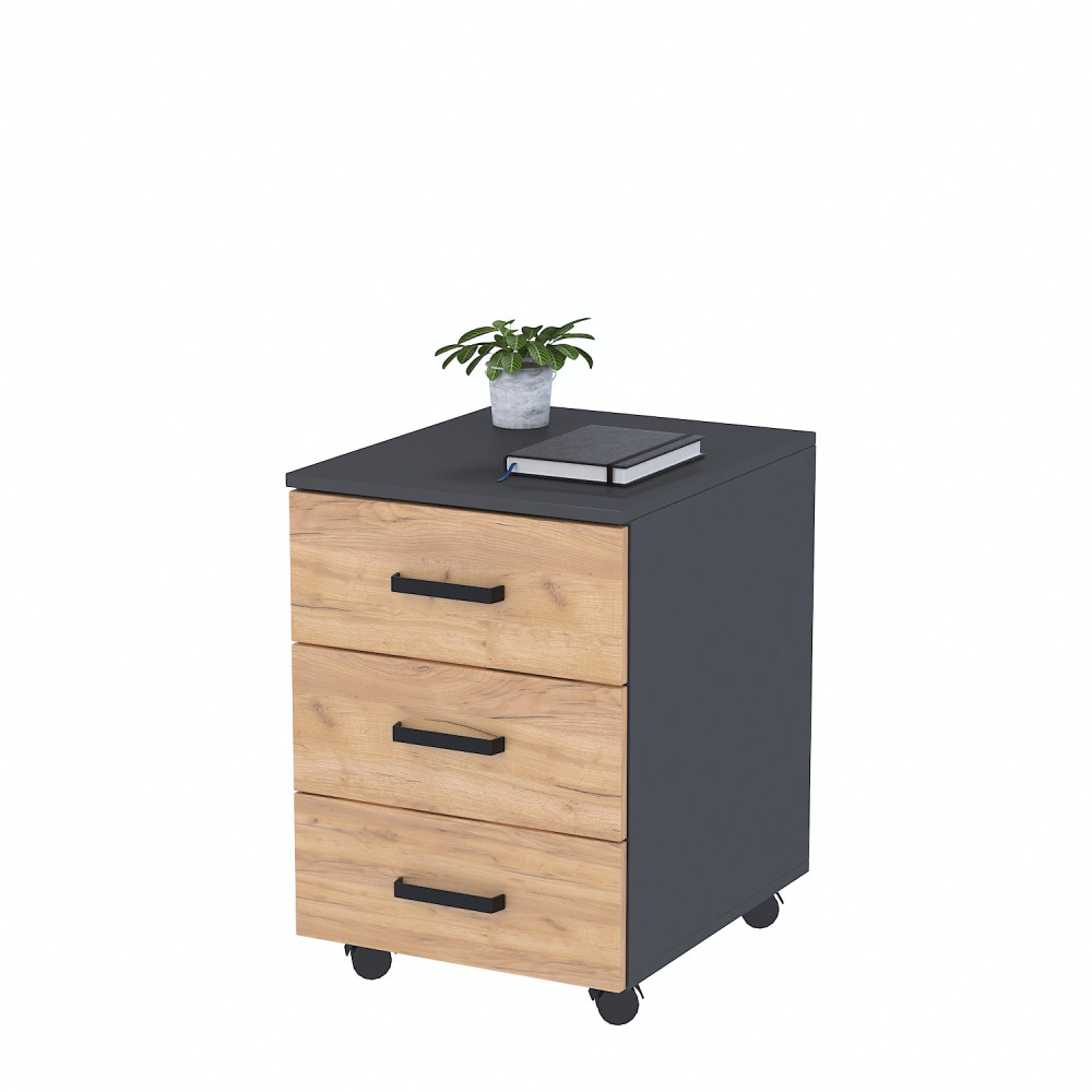 Тумба мобільна NT-3S-42-60 Loft Design